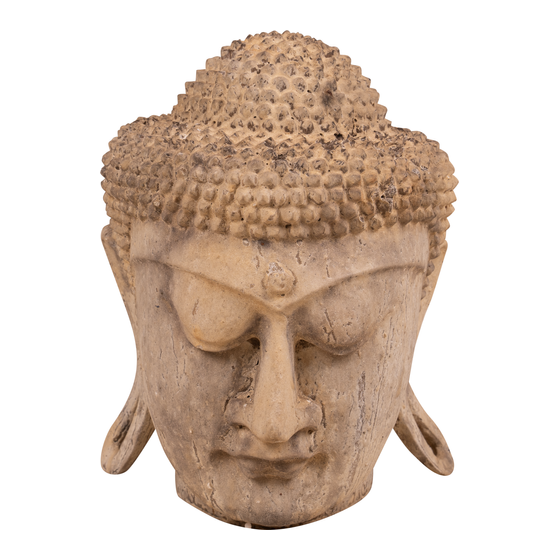 Head Buddha wood sideview