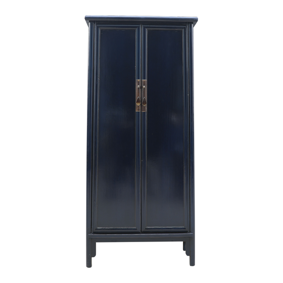 Cabinet lacquer high dark blue 2drs 100x49x240 sideview