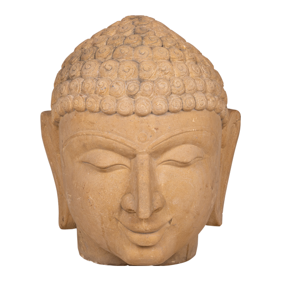 Hoofd Boeddha steen