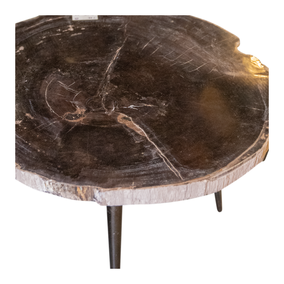 Side table petrified wood 32kg sideview