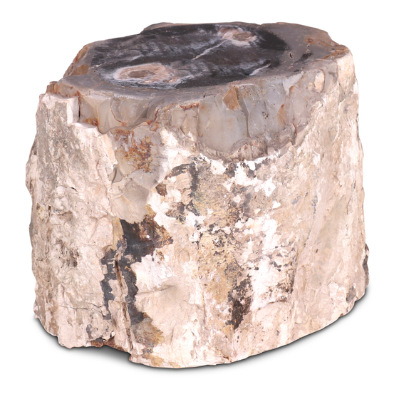 Trunk unpolished stone 17.5kg