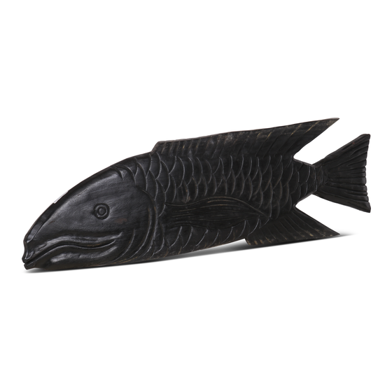 Fish medium black