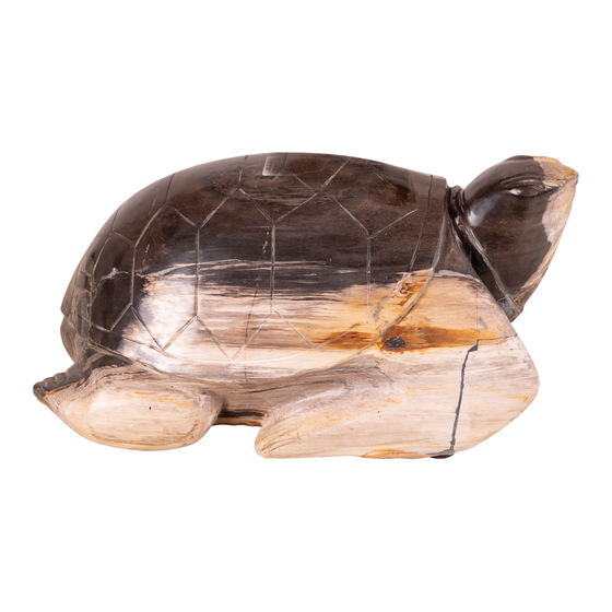 Turtle stone 13 kg