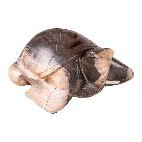 Turtle stone 13 kg sideview