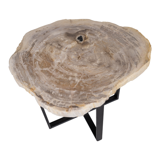 Side table petrified wood 21kg