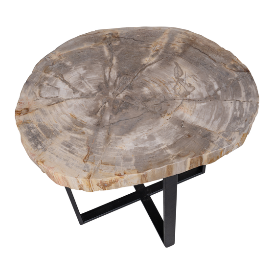 Side table petrified wood 24kg