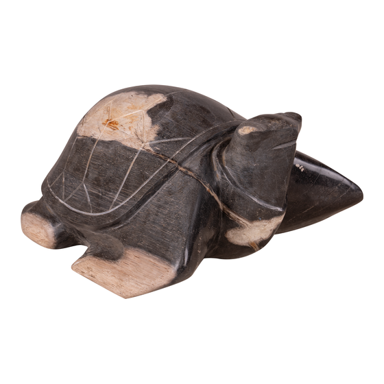 Schildpad steen 12,4kg