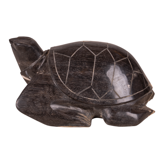 Schildpad steen 12,4kg sideview