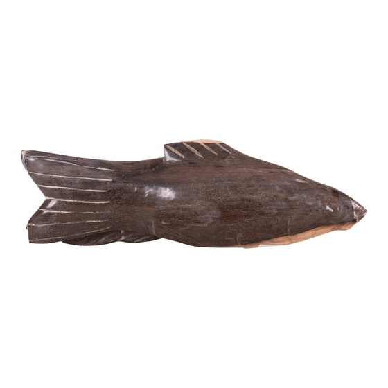 Fish stone 10kg