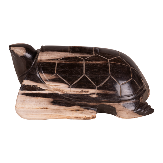 Schildpad versteend hout 13kg sideview