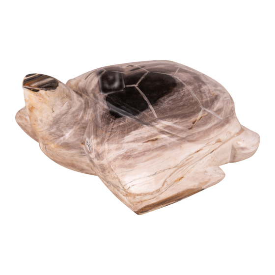 Schildpad versteend hout 10kg sideview
