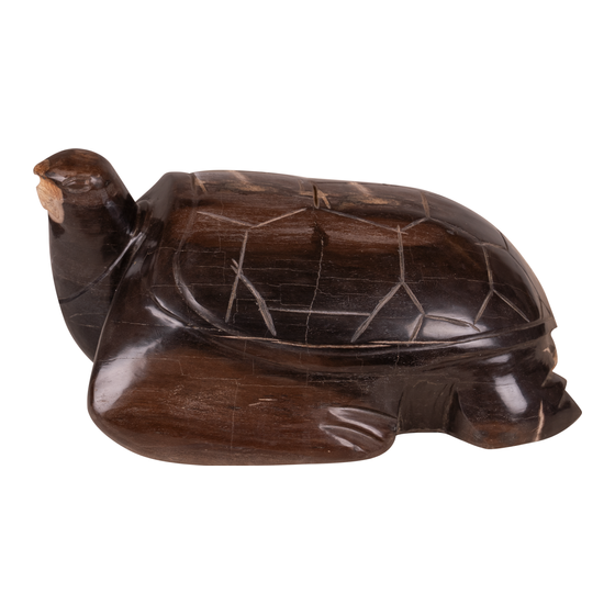 Schildpad versteend hout 14 kg sideview