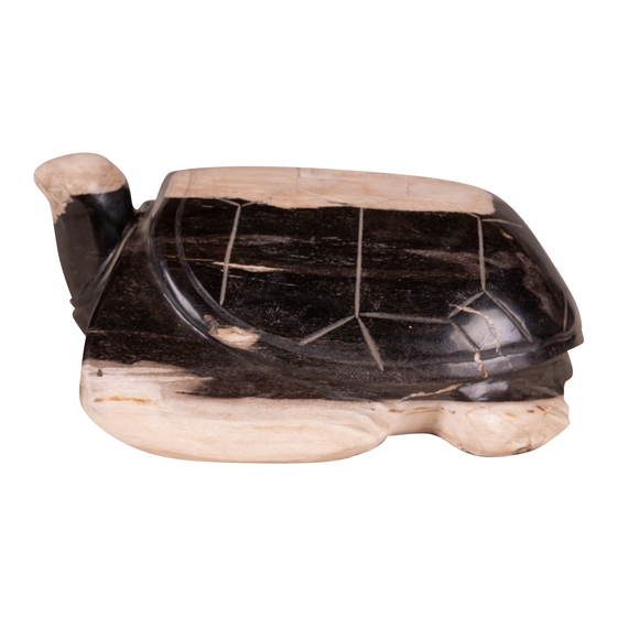 Schildpad versteend hout 18 kg sideview
