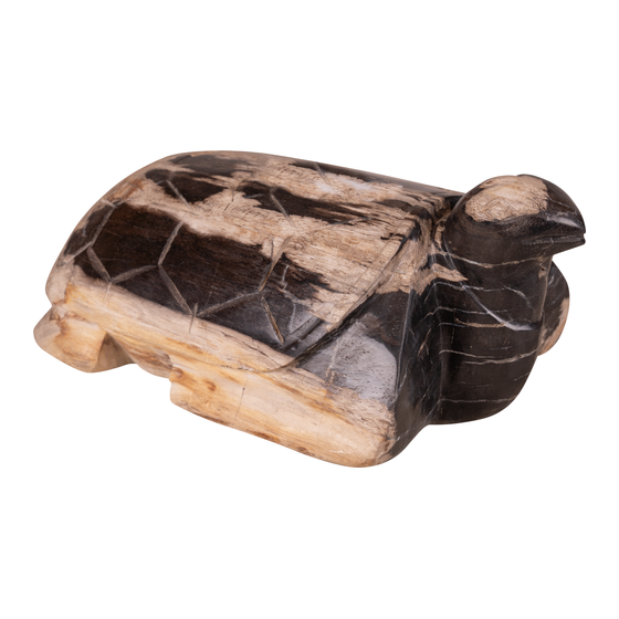 Schildpad versteend hout 10 kg