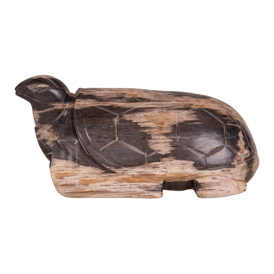 Schildpad versteend hout 10 kg sideview