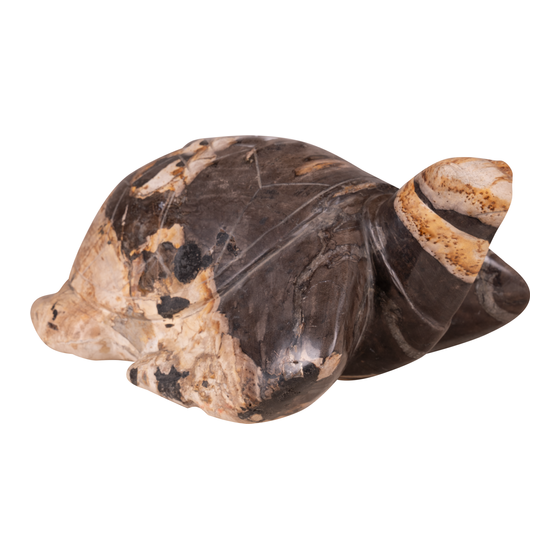 Schildpad versteend hout 15kg
