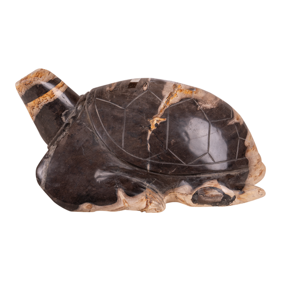 Schildpad versteend hout 15kg sideview