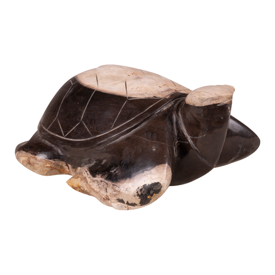 Schildpad versteend hout 12,7kg