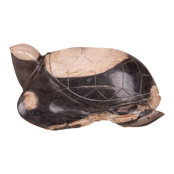 Schildpad versteend hout 12,7kg sideview