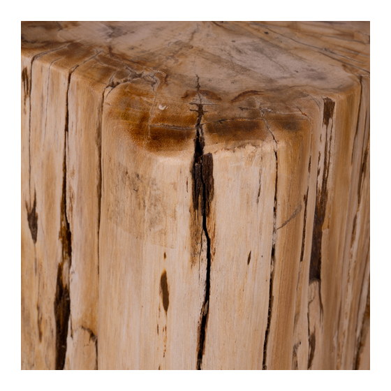 Trunk petrified wood 64kg sideview