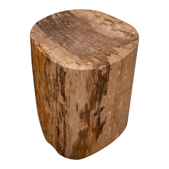 Stam versteend hout 105kg
