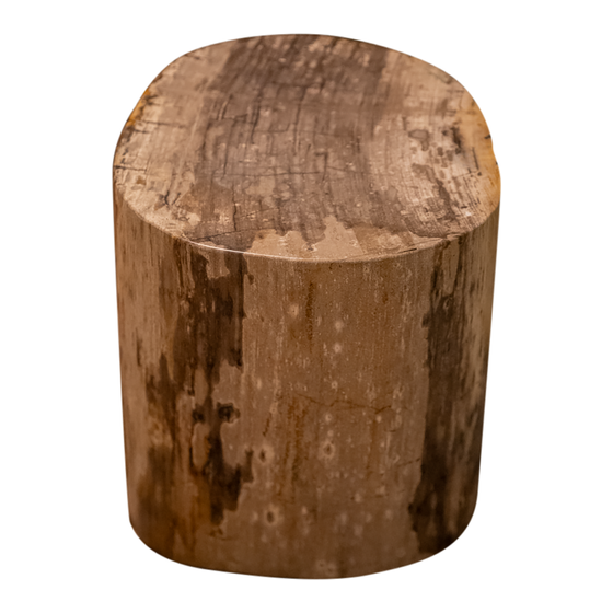 Stam versteend hout 105kg sideview