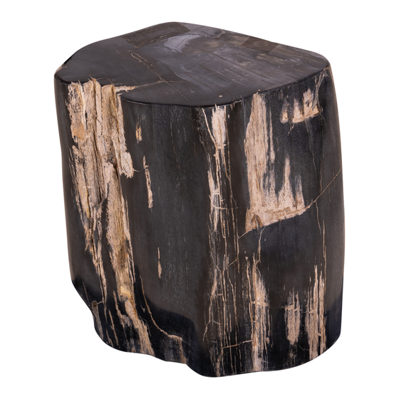 Trunk petrified wood 73kg sideview