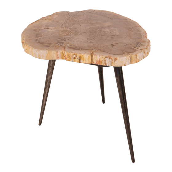 Side table Petrified wood 25kg