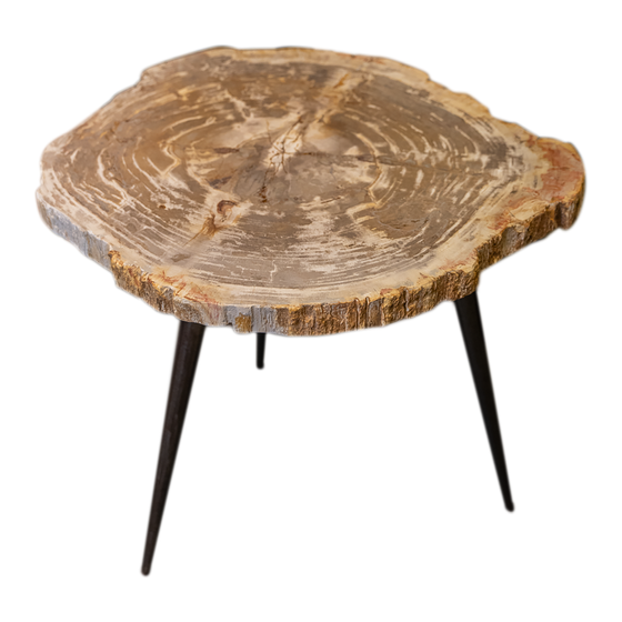 Side table Petrified wood 23kg