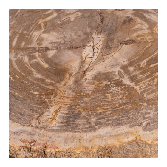 Side table Petrified wood 23kg sideview