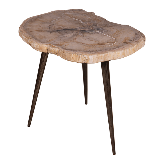 Side table Petrified wood 30kg