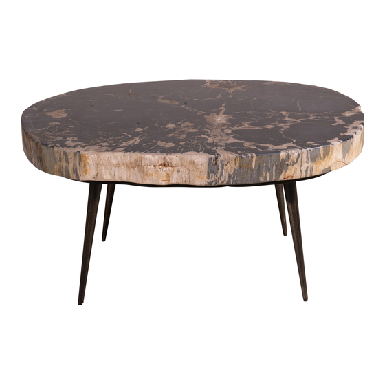 Side table Petrified wood 102kg