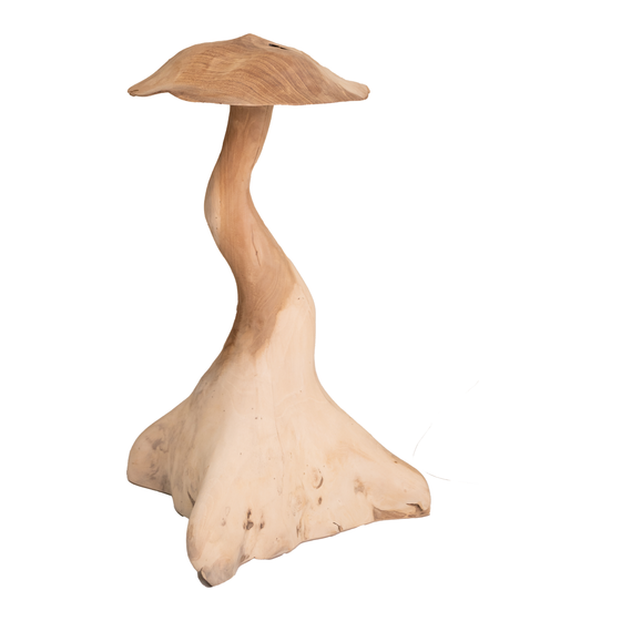Mushroom Ø38x80cm