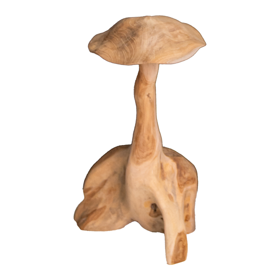 Mushroom Ø33x60cm