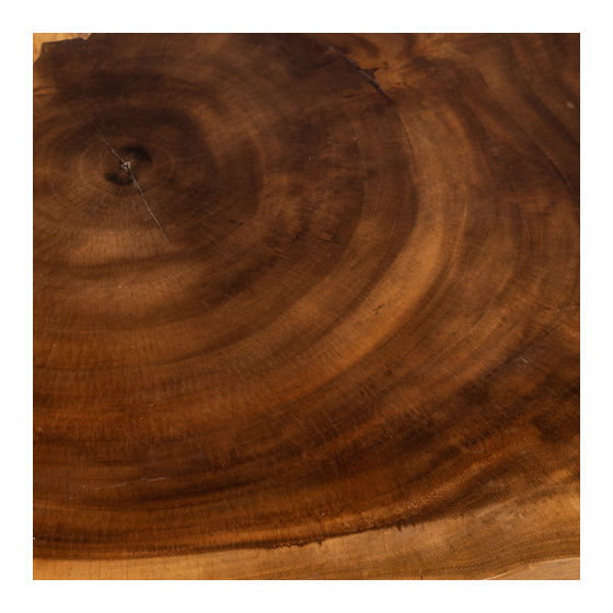 Coffee table rain tree wood Ø72x40 sideview